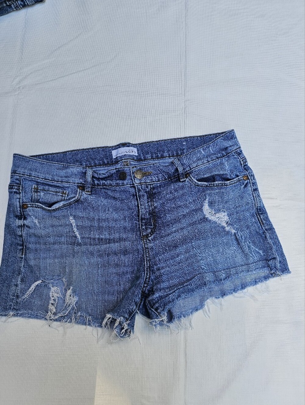 LOFT Women's Denim Shorts 10